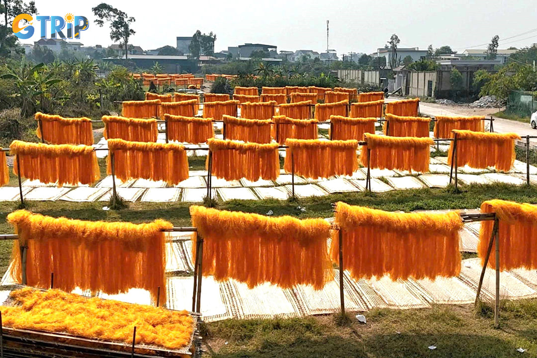 Cu Da Ancient Village is famed for handmade rice vermicelli and soy sauce, where sun-dried noodles shimmer against French colonial-era houses