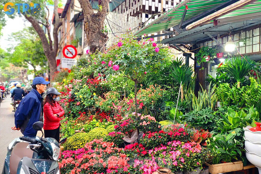 Hoang Hoa Tham Market is a vibrant hub in Hanoi, famous for its wide variety of plants, flowers, gardening tools, and pet supplies
