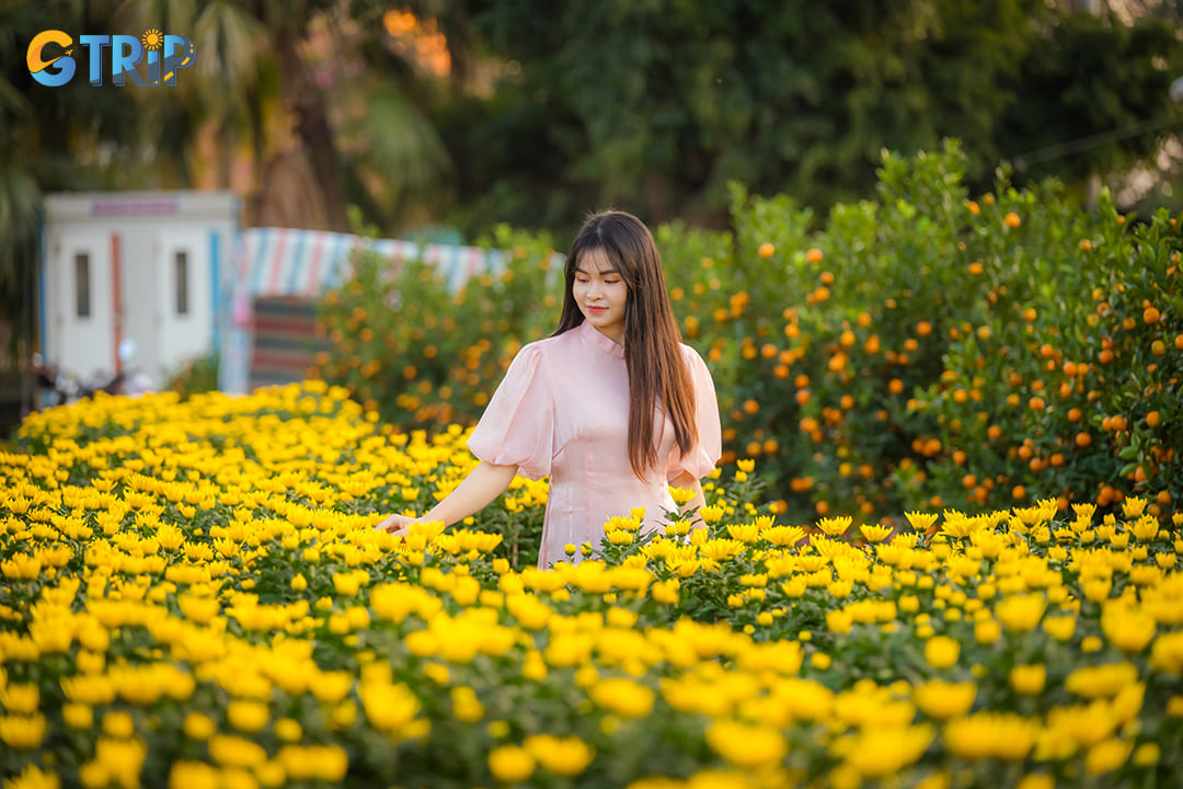Ngoc Ha Flower Village in Hanoi offers an authentic glimpse into traditional flower-growing culture, where locals still cultivate blooms in a historic setting