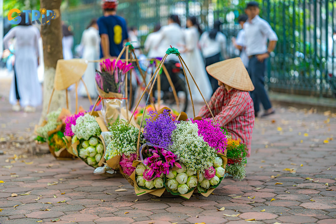 Phan Dinh Phung Street is a romantic street full of flowers