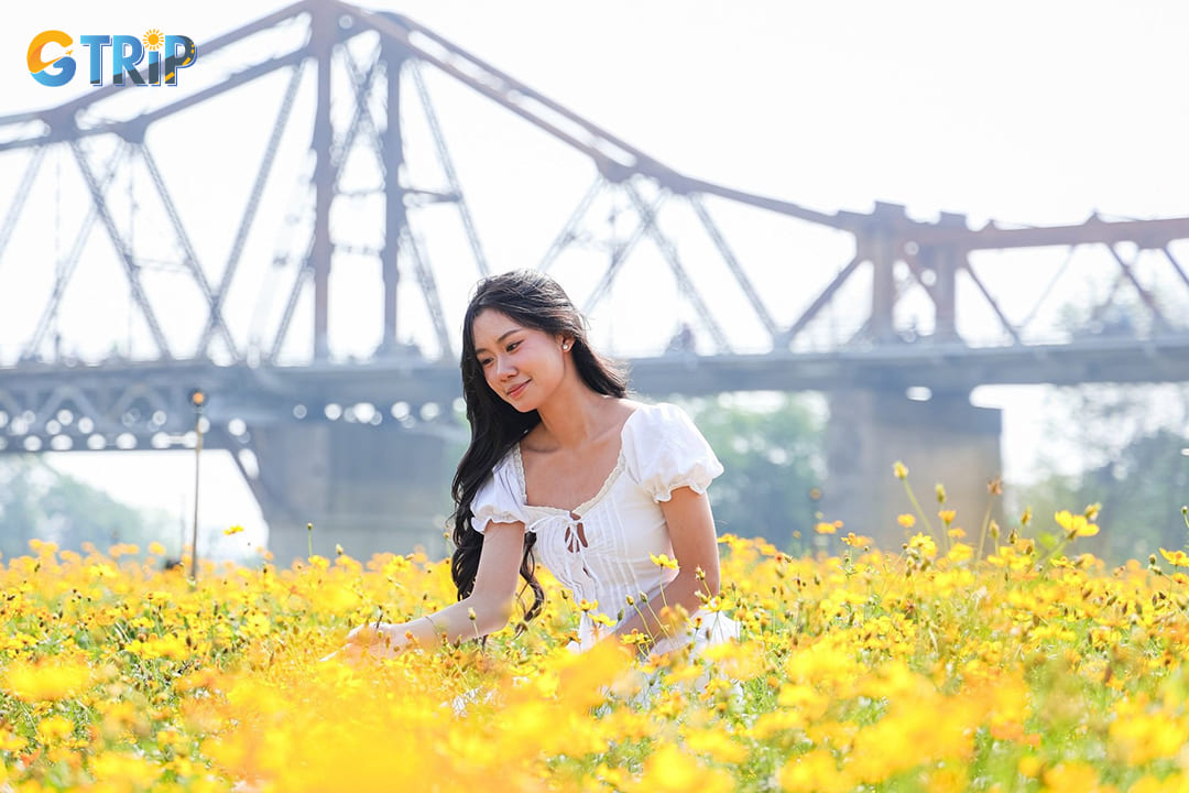Phuc Xa flower wharf in Hanoi is a bustling midnight wholesale hub where millions of fresh blooms from villages converge before reaching the city’s shops