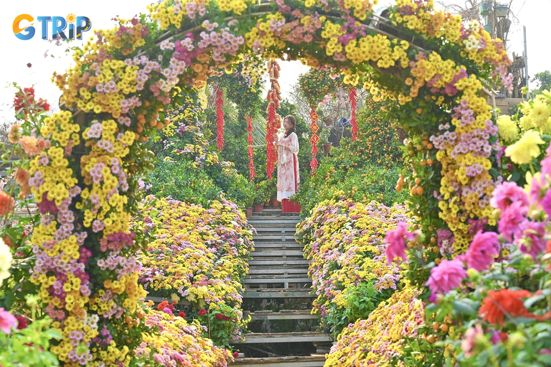 Phuong Linh Flower Garden offers seasonal blooms, a peaceful atmosphere, and budget-friendly charm, making it a hidden gem for photography lovers