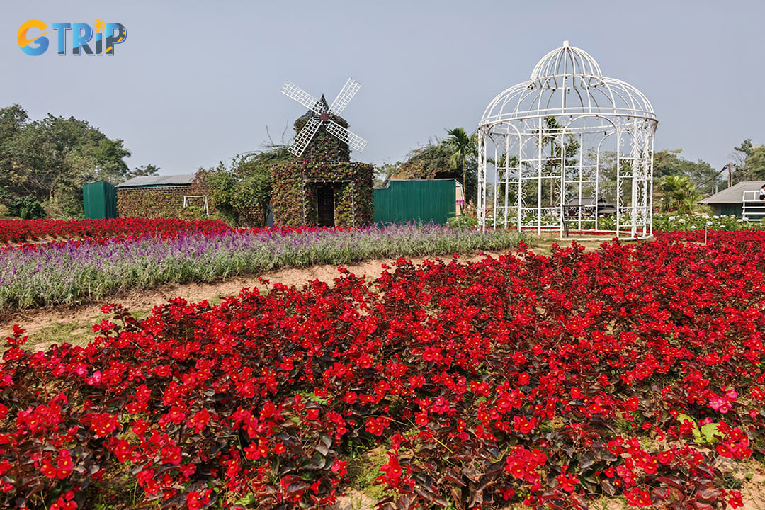 Red River Rock Park blends colorful flower fields, ancient rock formations, and stunning Red River views, perfect for photography