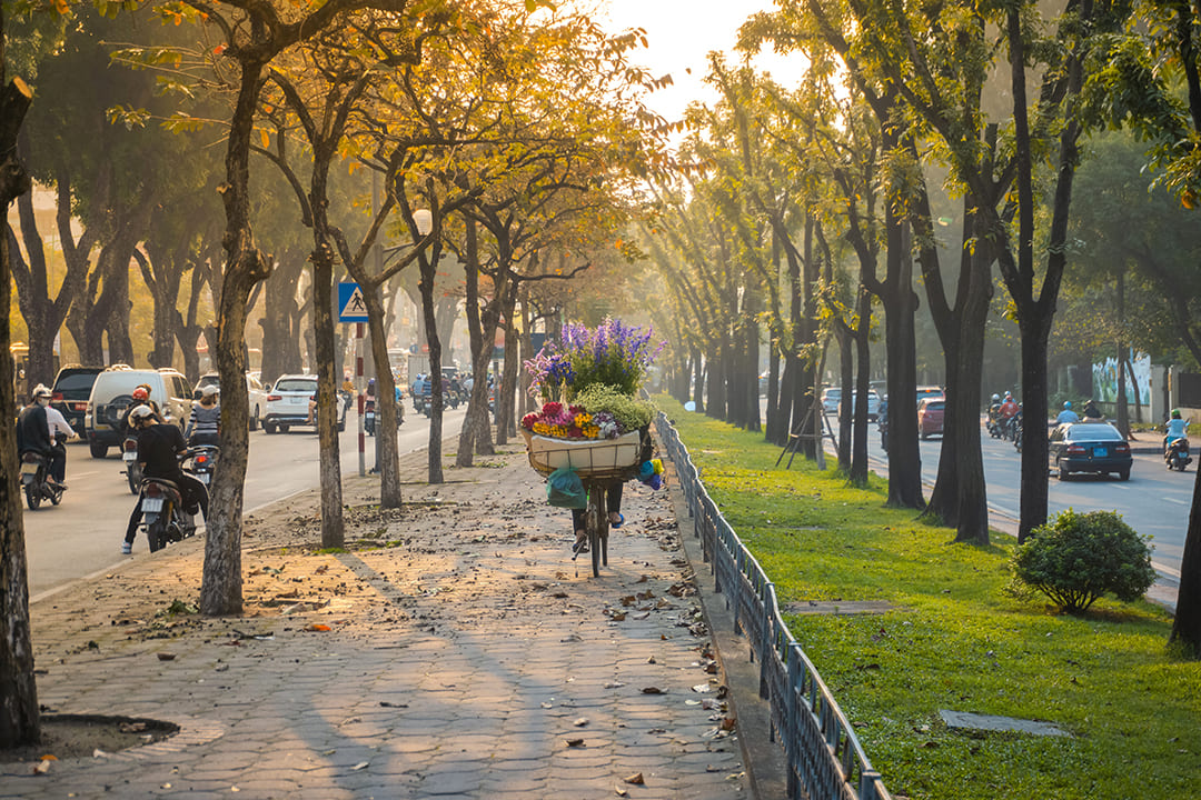 Experience the Best of Hanoi in 7 Days: A Complete Itinerary Covering Iconic Landmarks, Hidden Gems, Local Eats, and Day Trips
