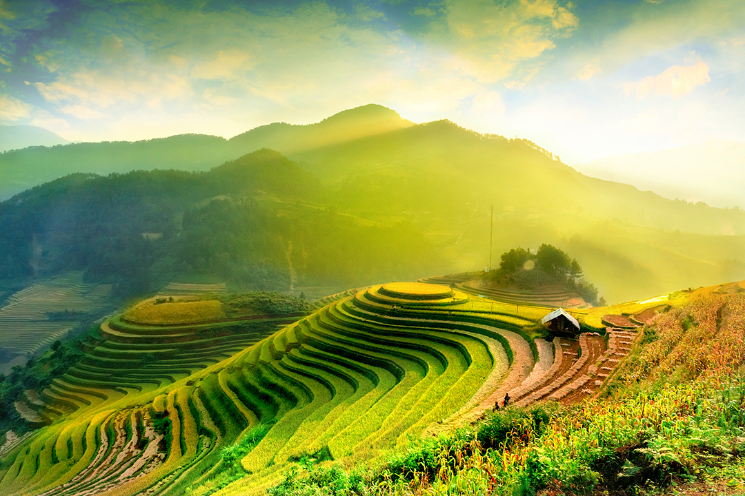 Exploring Enchanting Destinations During Tet Vietnam 2024