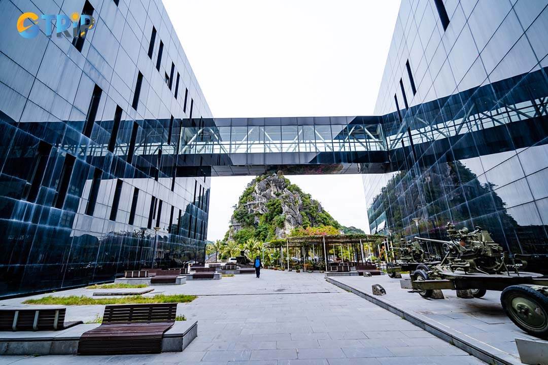 A bridge links the museum and the library