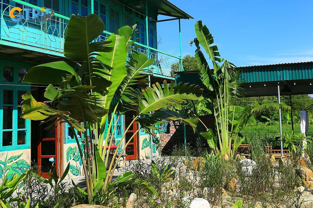 A corner of the garden at Mina Cafe & Stay