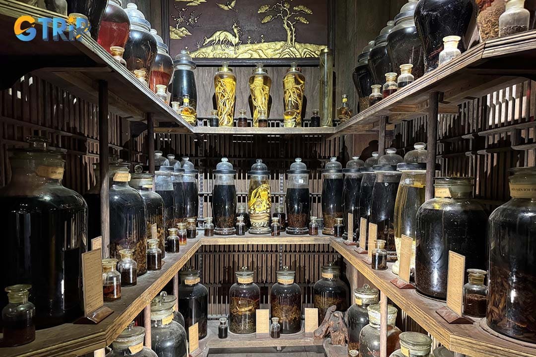 A diverse collection of vessels from the 1st to the 20th century, showcasing Vietnam’s long tradition of herbal medicine