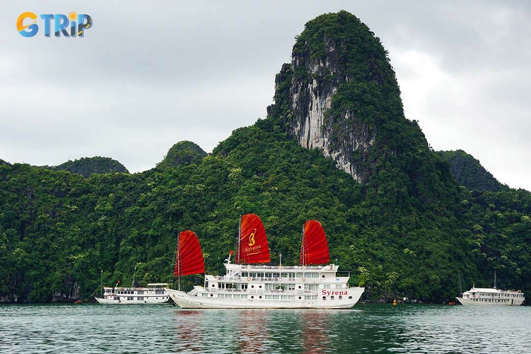 A Ha Long Bay cruise is an essential activity that allows you to fully appreciate the bay's majestic limestone pillars and emerald waters