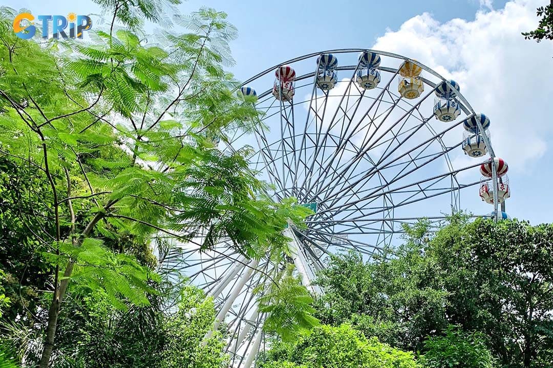 A lively amusement zone adds an energetic twist to the zoo, with gentle rides for young children and classic fairground attractions like the Ferris wheel, roller coaster