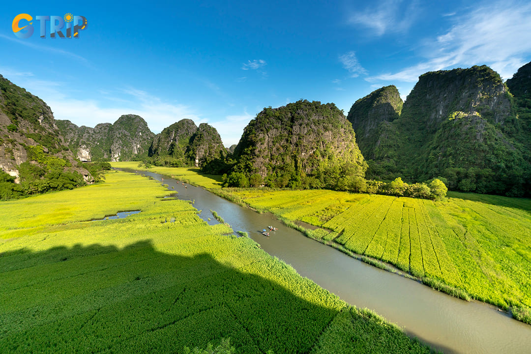 A lush landscape of rice paddles on Ngo Dong River