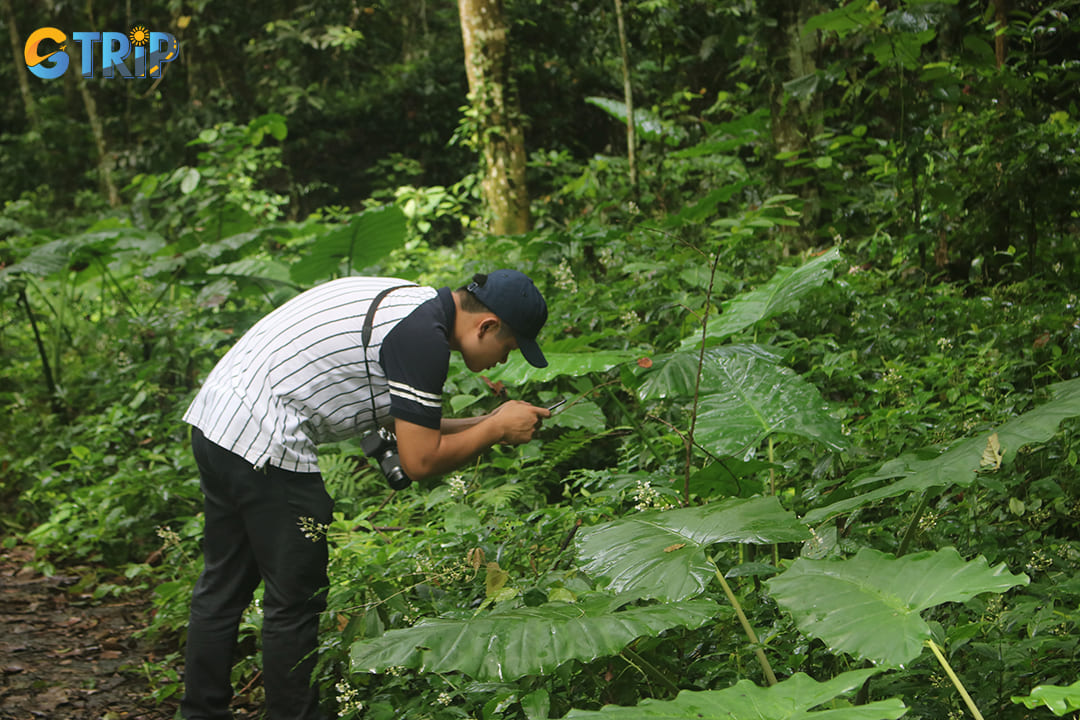 A man is taking photos while hiking in the forest