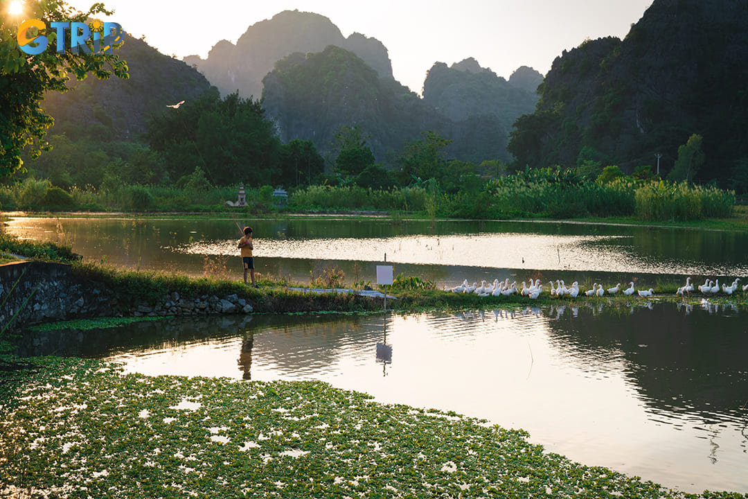 A peaceful landscape of Ninh Binh in October