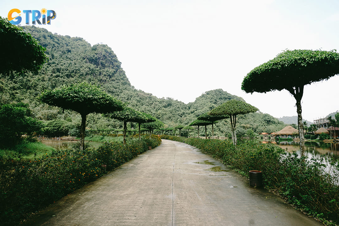 A scenic path in Thung Nham Bird Park that you can go hiking