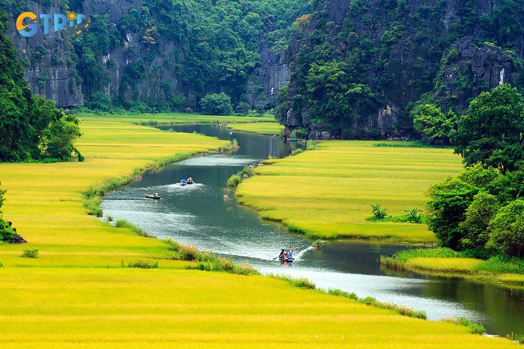 A Tam Coc boat ride offers a tranquil journey through lush rice fields and winding rivers, combining stunning scenery with rich cultural insights