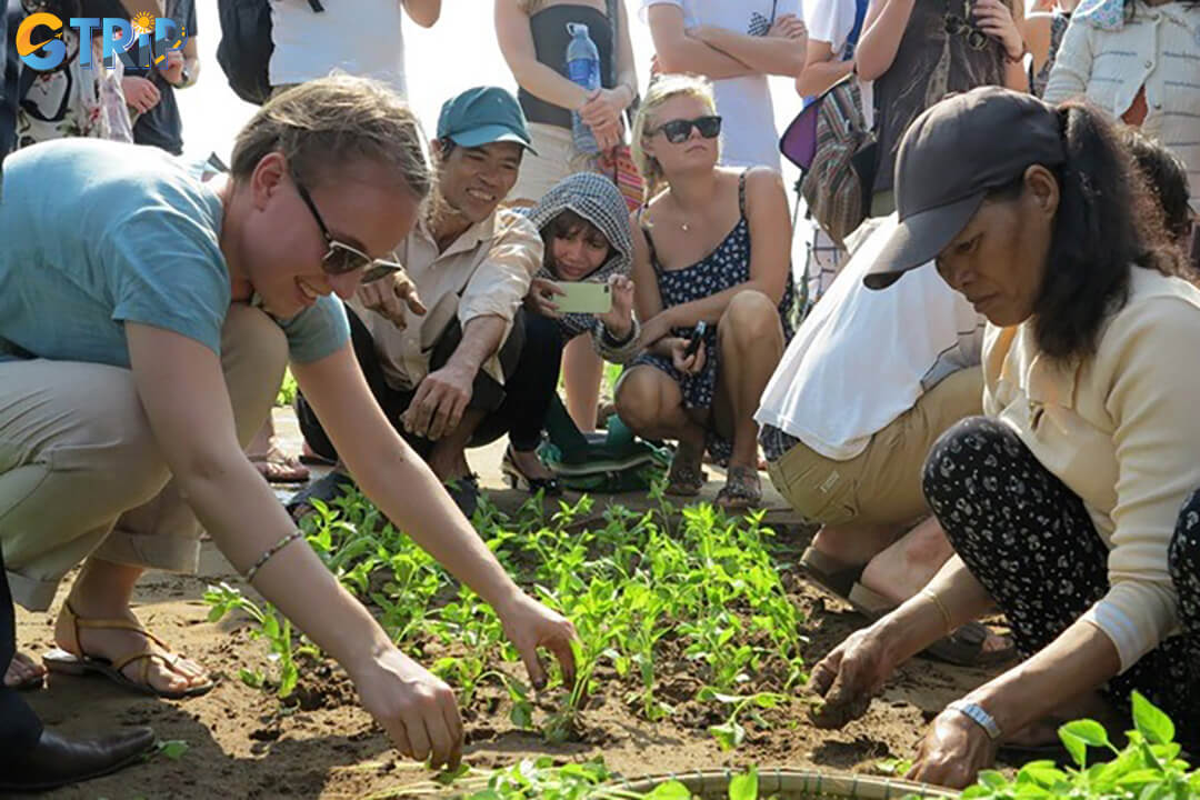 A vibrant celebration of Tra Que’s farming roots and culinary heritage, featuring lively competitions in vegetable growing and the signature Tom Huu dish