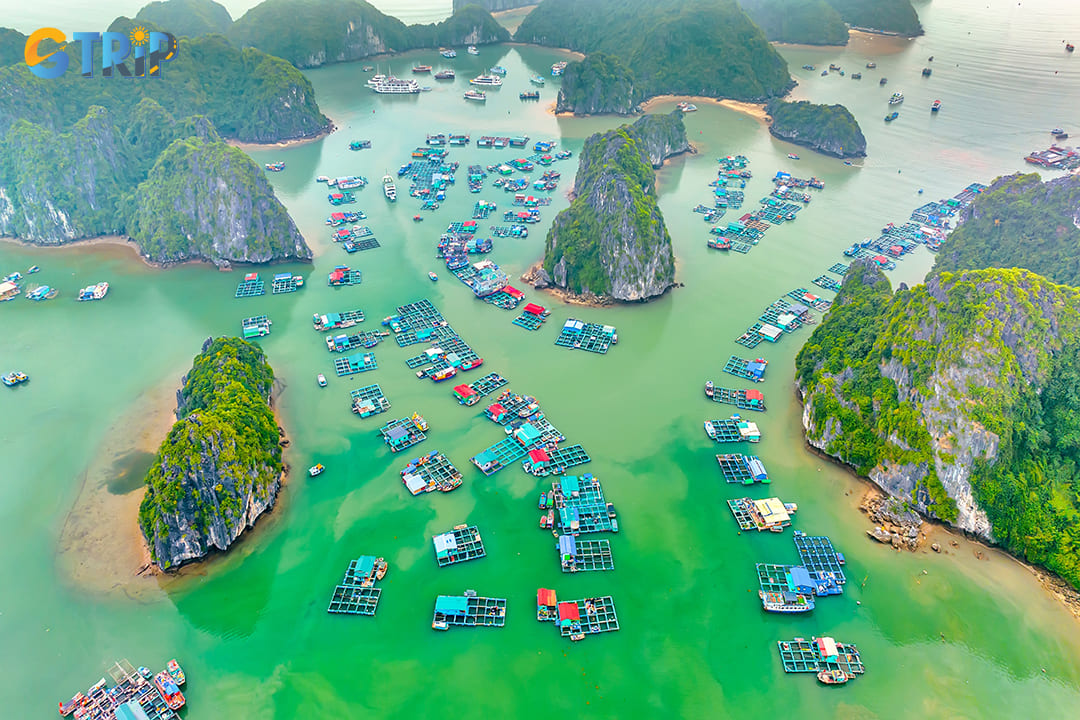 A visit to floating fishing villages offers an authentic glimpse into the daily life of Ha Long Bay’s coastal communities