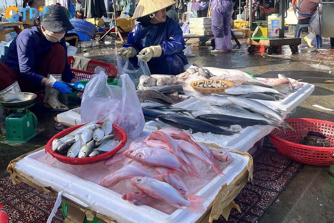 A visit to the Hoi An Fishing Villages offers a raw and unforgettable experience, starting with the early morning fish markets