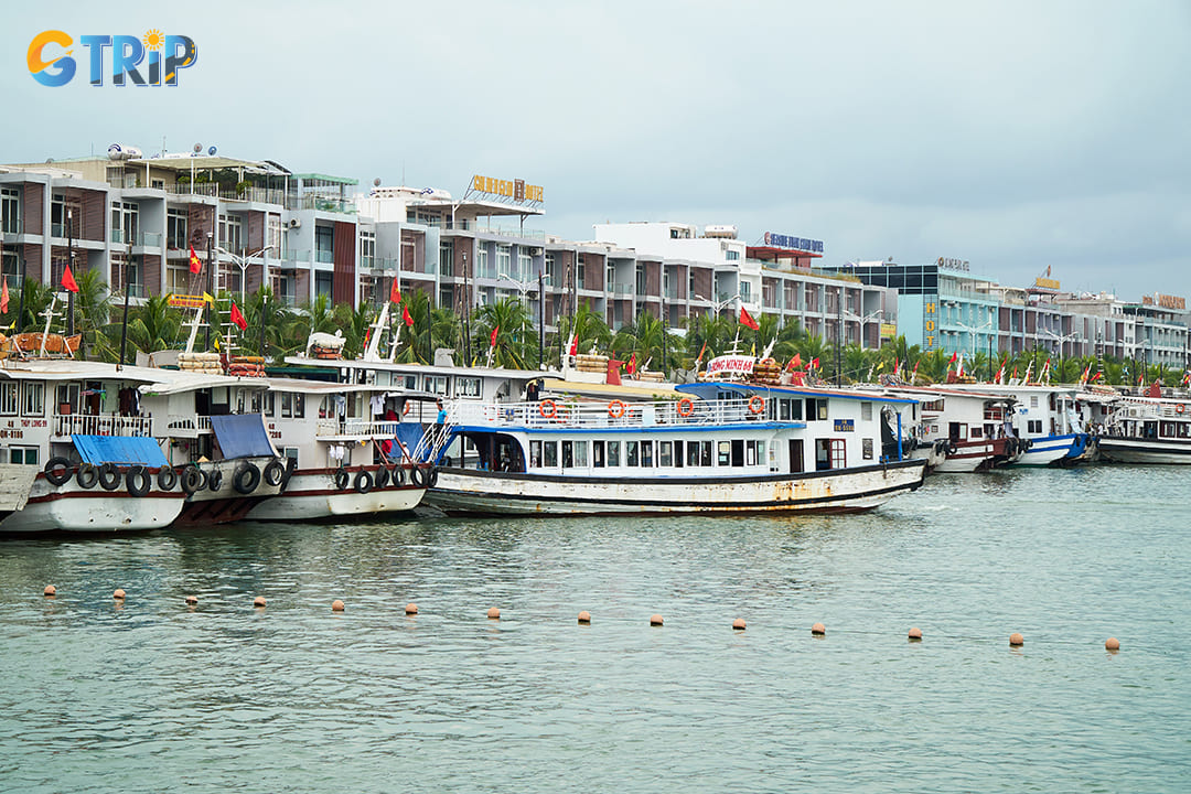 Accommodations in Tuan Chau International Marina