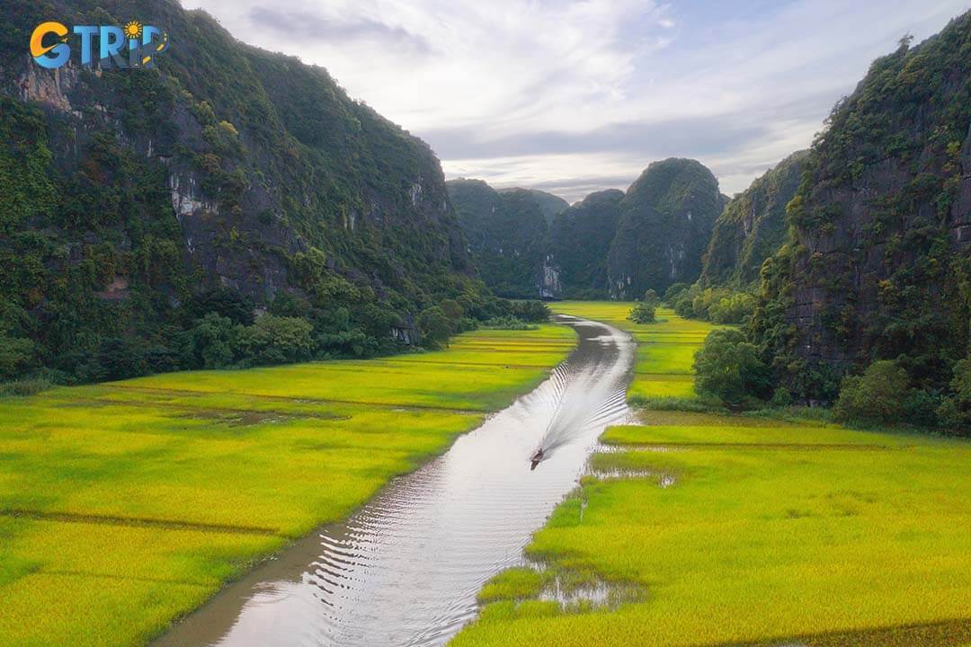 Aerial top view of fresh paddy rice and lake river green agricultural fields with mountain hills valley in countryside