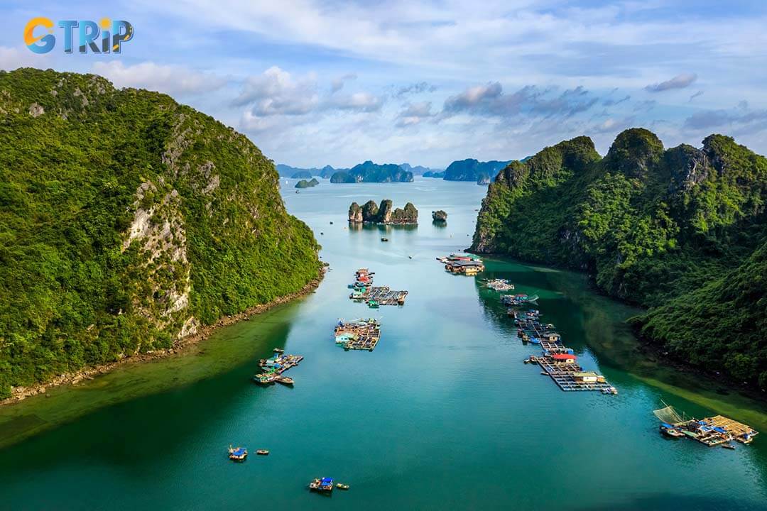 Aerial view of cua van floating fishing village and rock island Halong Bay