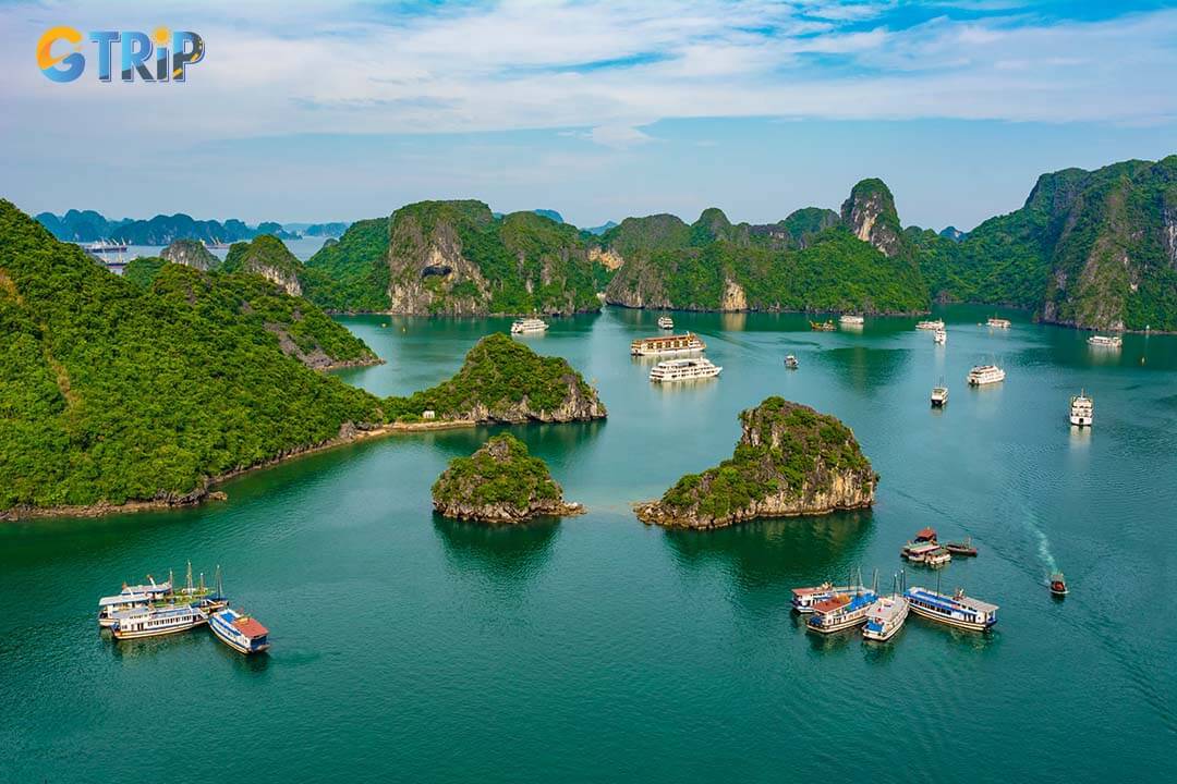 Aerial view of Ha Long Bay with a lot of limestone islets and cruise ships