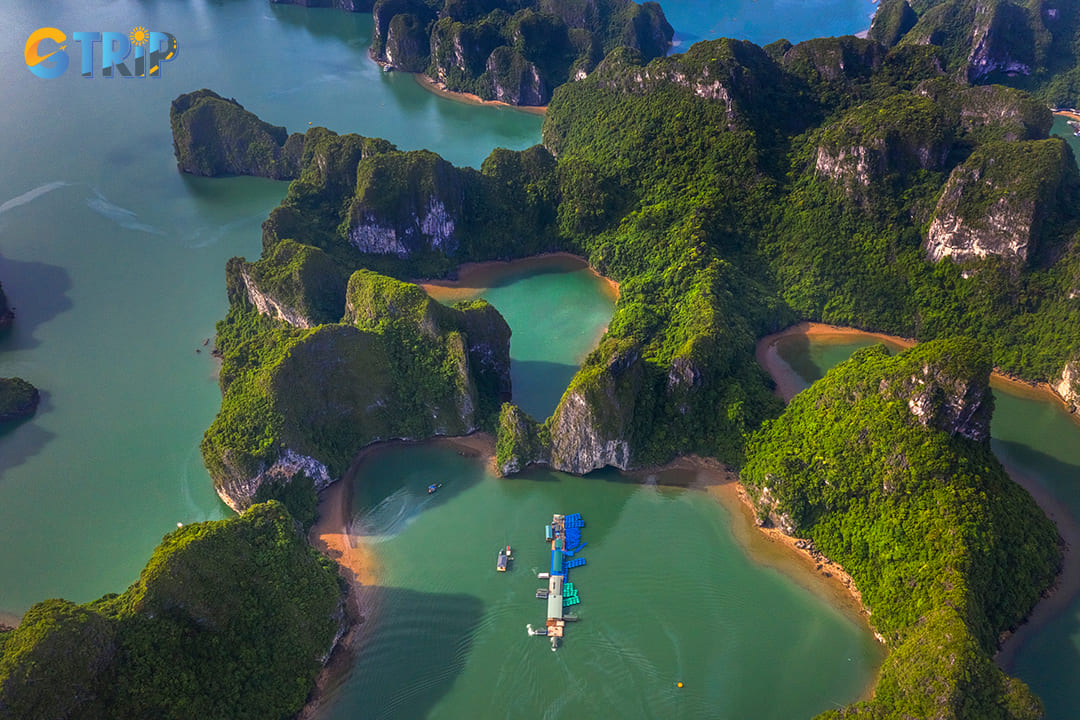 Aerial view of Luon Cave and rock island in Ha Long Bay