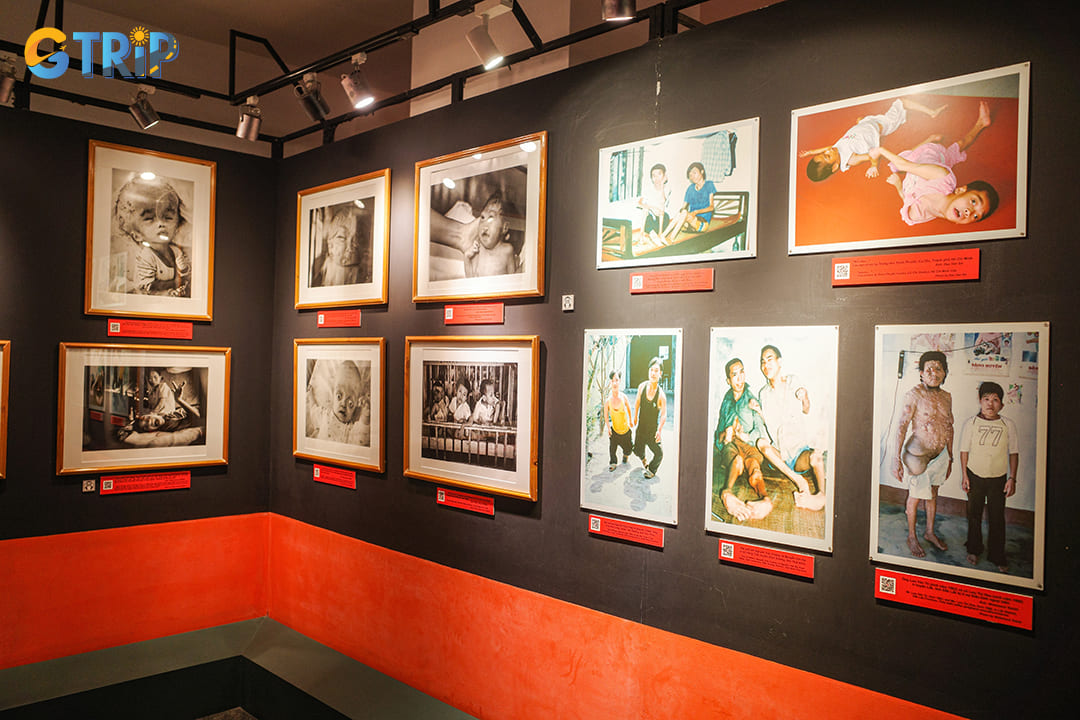 Among the most harrowing displays is the extensive documentation of the consequences of Agent Orange