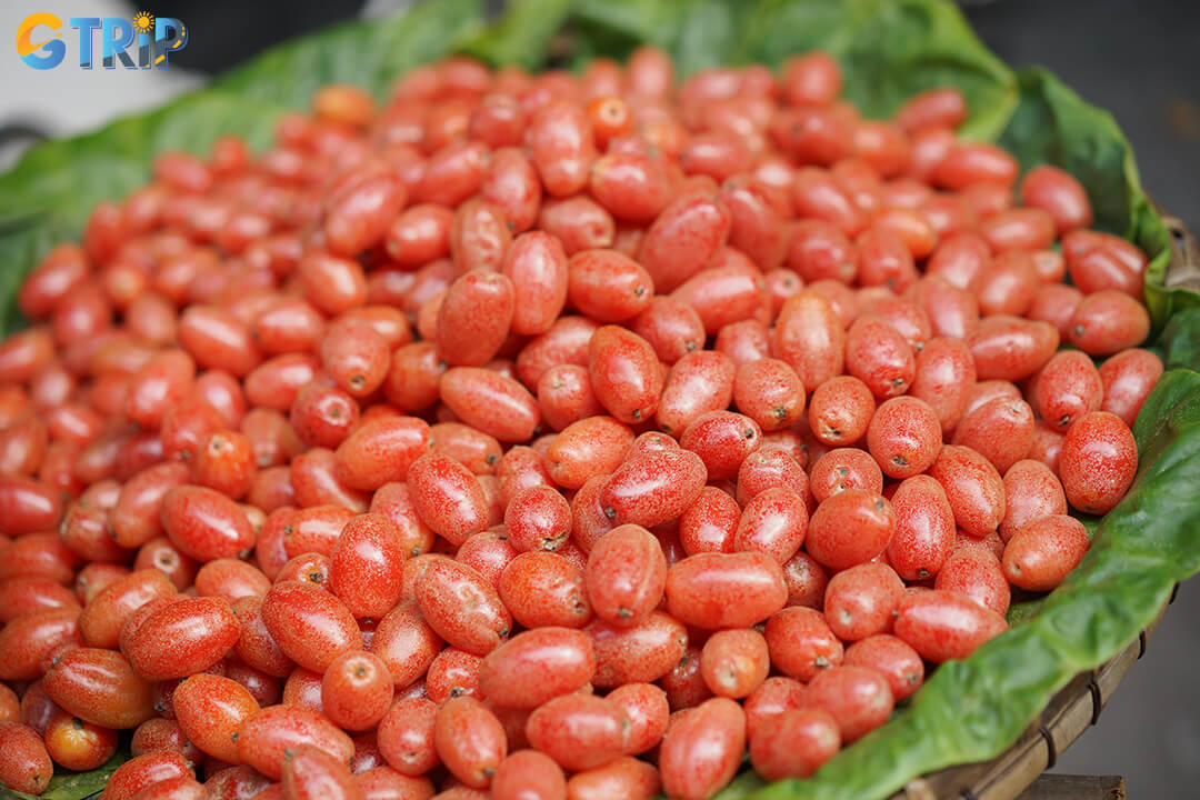 April in Hanoi welcomes silverberry season, with green and red varieties offering a unique mix of fresh snacks and traditional culinary flavors