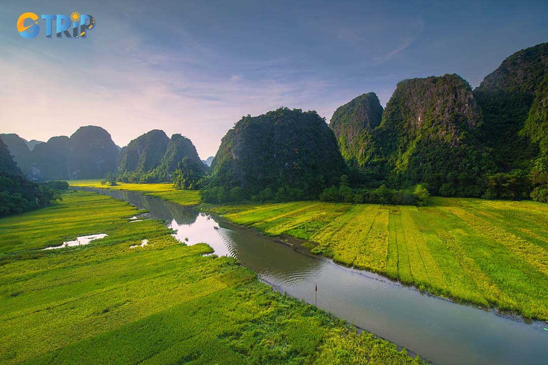 April is ideal for visiting Tam Coc, offering cultural festivals in Trang An and exploring the lava bird garden, even if it's not the ripe rice season.
