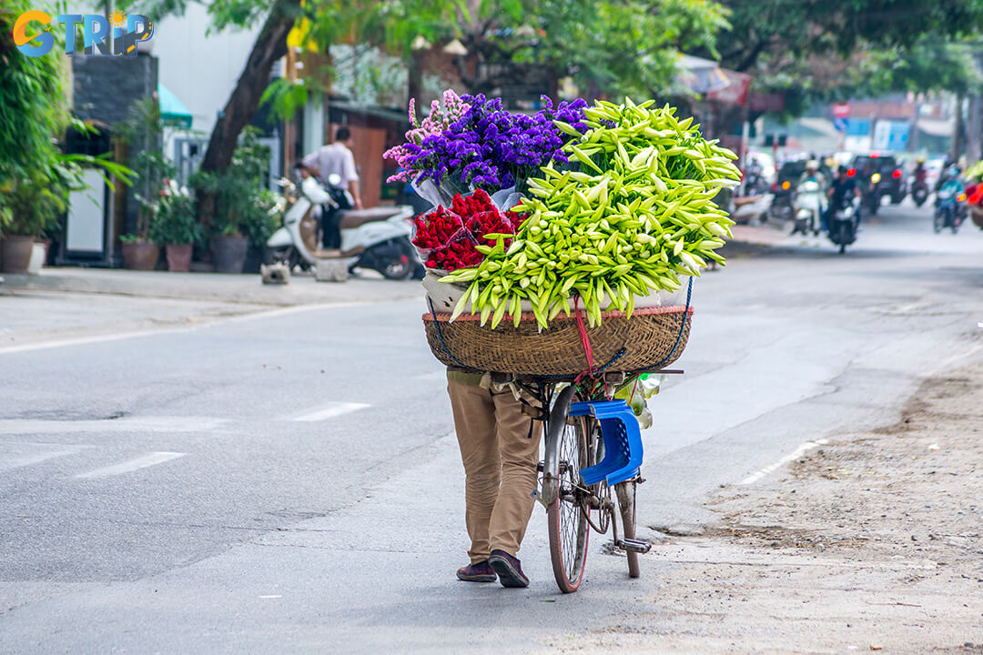 April turns Hanoi into a poetic scene of white lilies in bloom, with delicate flowers adorning streets and gardens across the city, perfect for photography