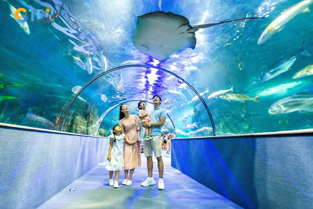 Aquarium offers an immersive marine experience with over 30,000 sea creatures, themed zones, a 15-meter tunnel, and fun educational activities for all ages