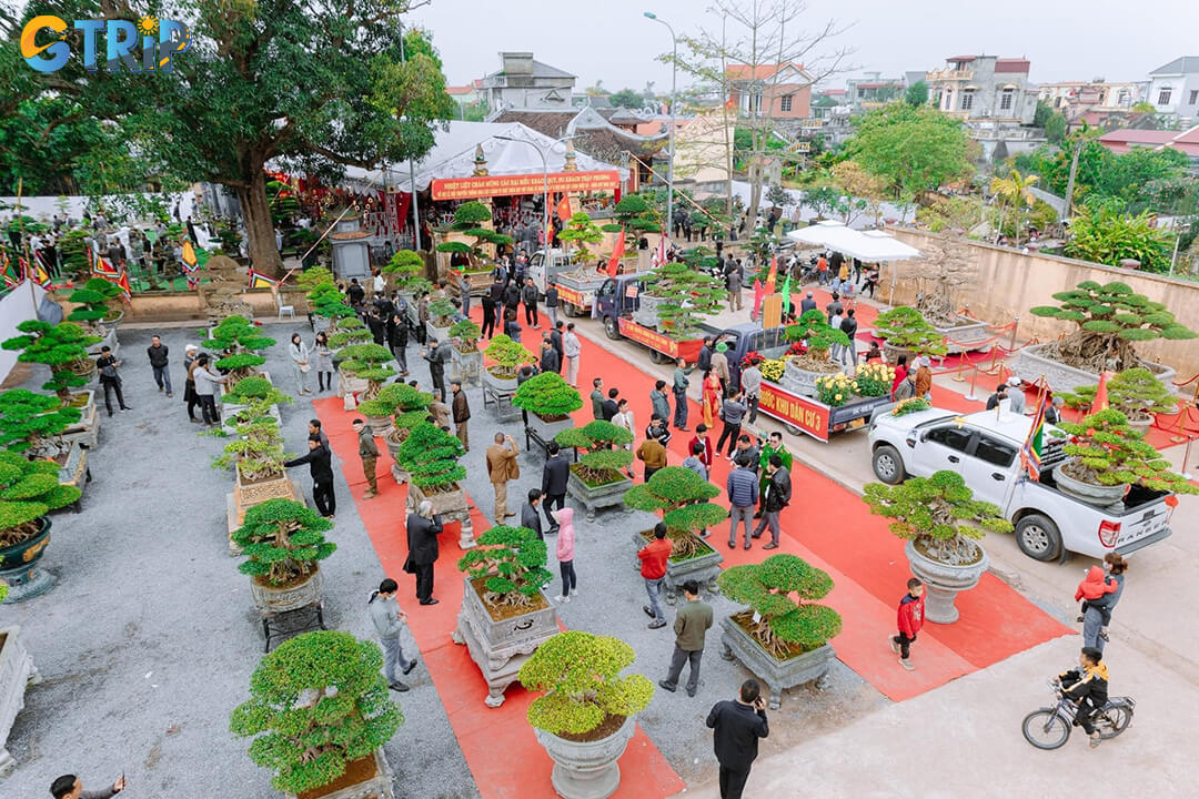 At the festival, visitors are immersed in exhibitions showcasing extraordinary flowers and bonsai creations