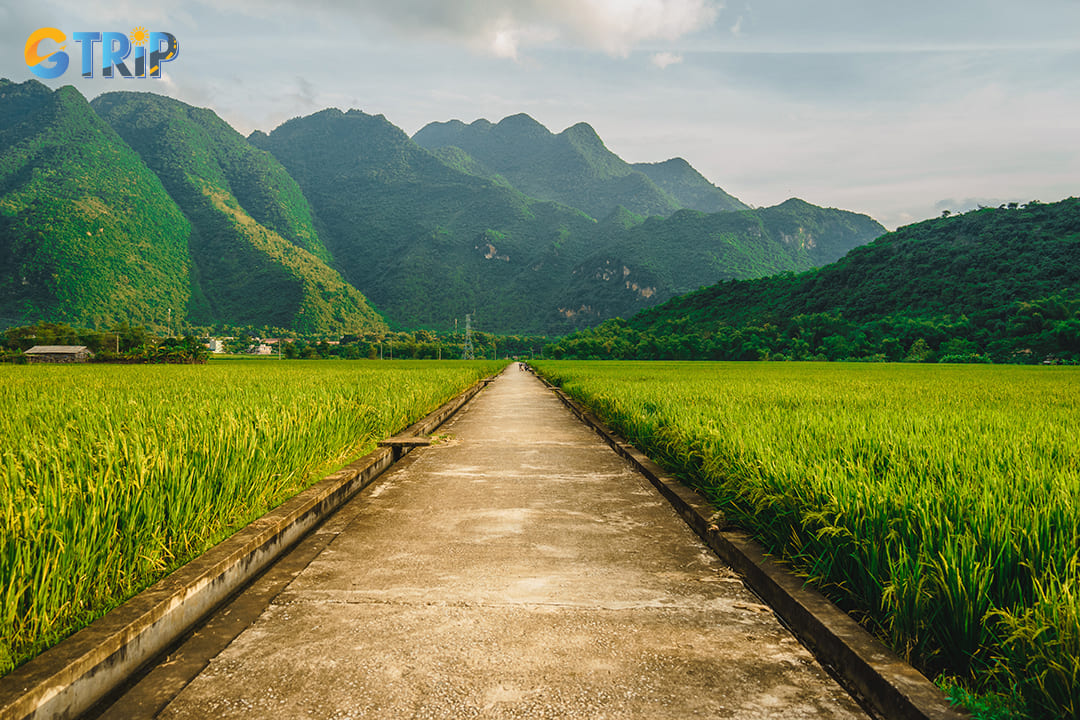 Autumn brings what many consider the most beautiful time to travel to Mai Chau and Lac Village in particular