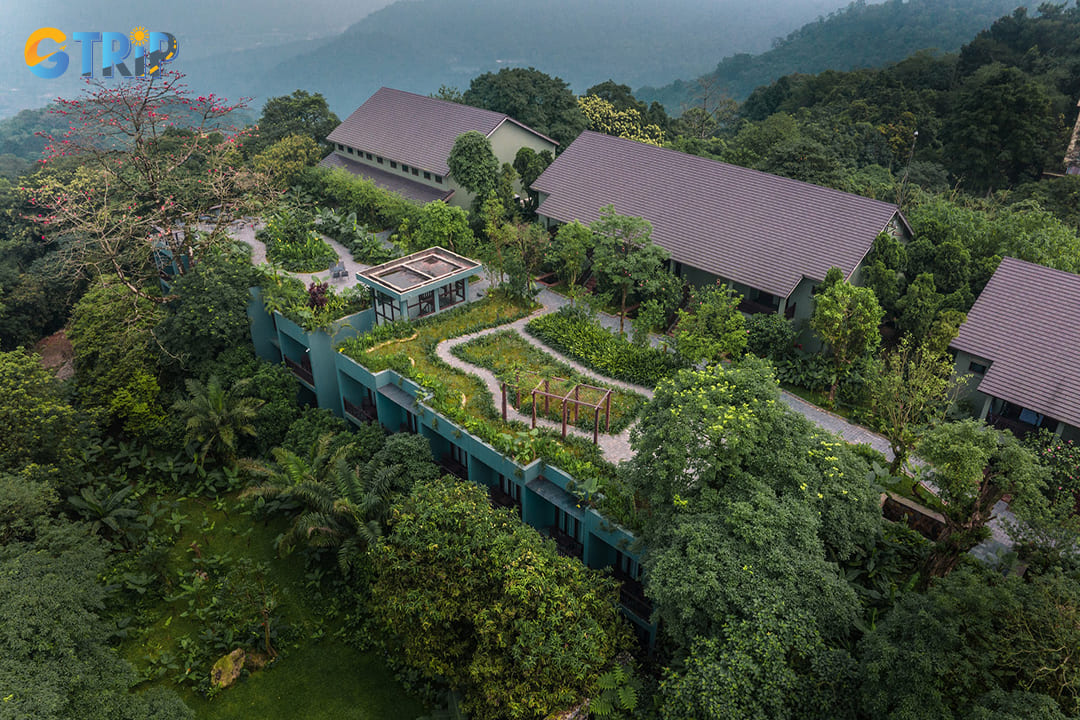 Planning a trip to Ba Vi National Park requires some preparation to ensure you have a comfortable and memorable experience