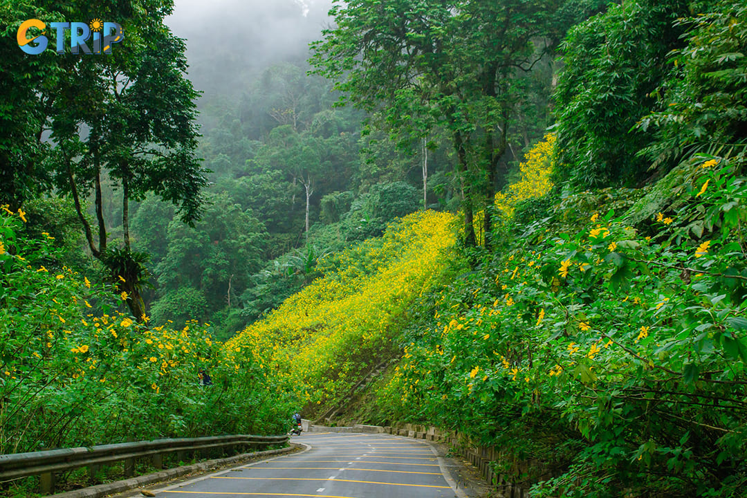 For convenience and comfort, traditional taxis or apps like Grab can take you directly from your hotel in Hanoi to the park entrance