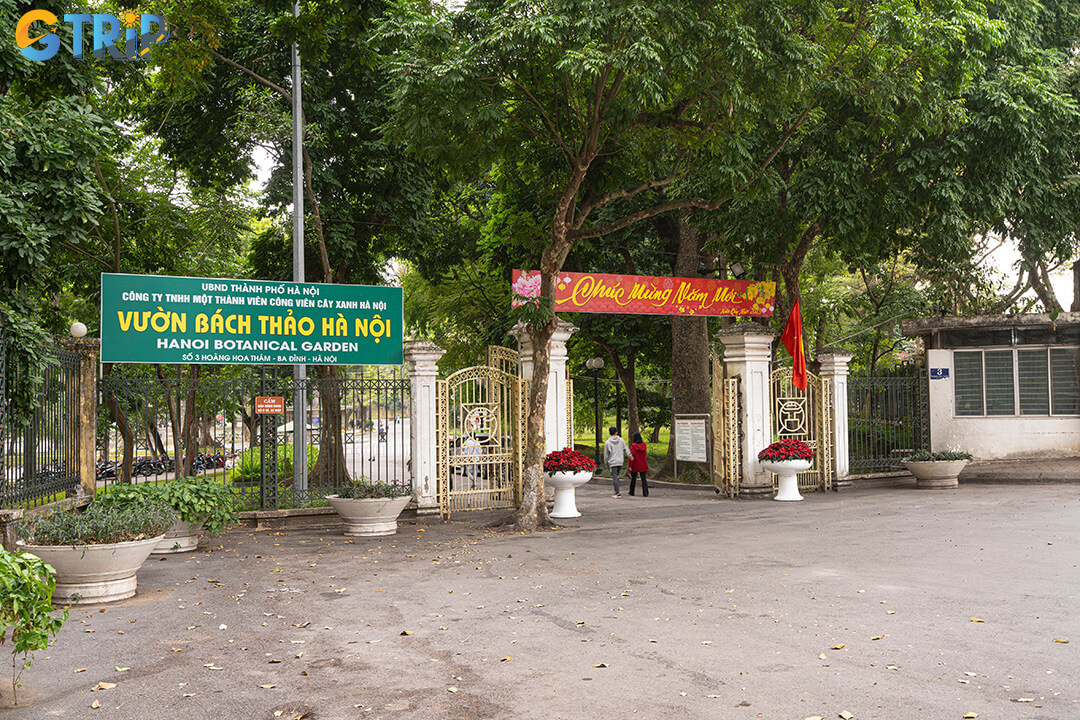 Bach Thao Park, a lush ten-hectare haven in the heart of Hanoi, offers tranquil lakes, diverse gardens, and rich wildlife for a peaceful escape from the city