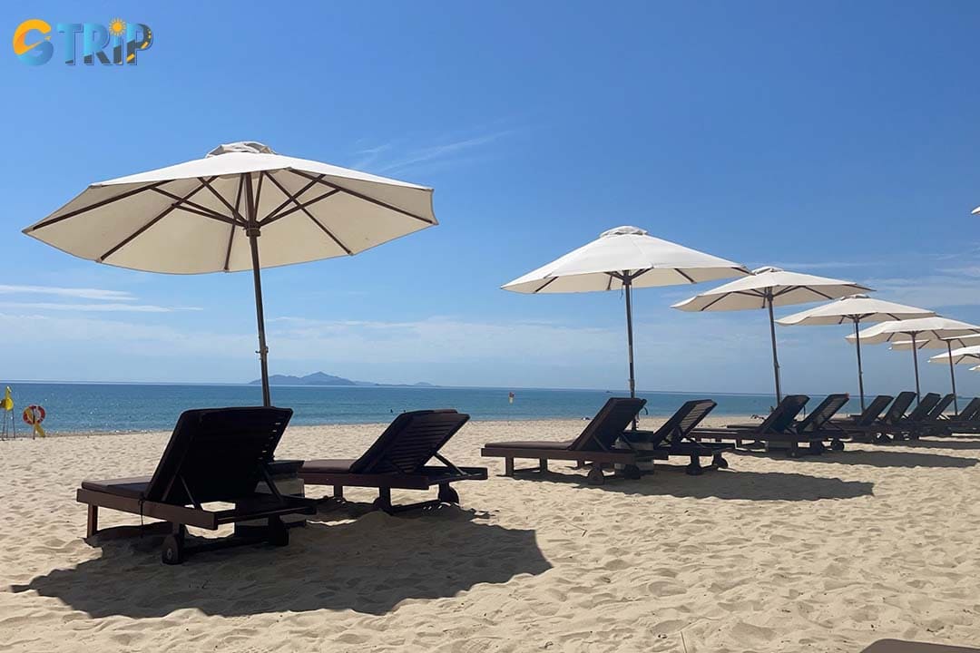 Bai Bac Beach is a scenic jungle-meets-sea cove ideal for snorkeling and nature lovers, close to Linh Ung Pagoda and rich in wildlife