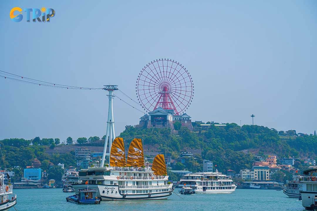 Bai Chay Beach offers clear waters, activities like parasailing, and the Ha Long Night Market for souvenirs and local delicacies