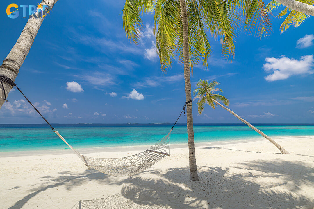 Bai Ong’s coconut-lined shore offers cool natural shade and a laid-back space perfect for relaxing by the sea breeze