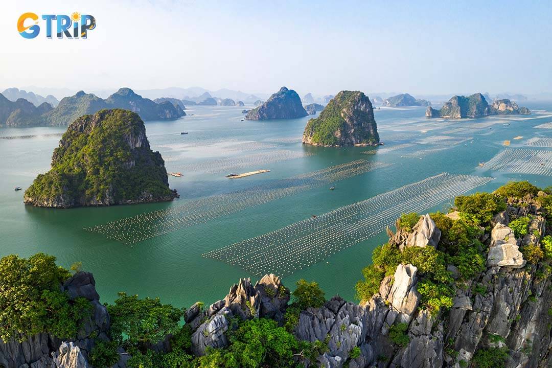 Bai Tu Long Bay offers a glimpse into Vietnam's history and culture through archaeological relics, traditional fishing communities, and vibrant local customs