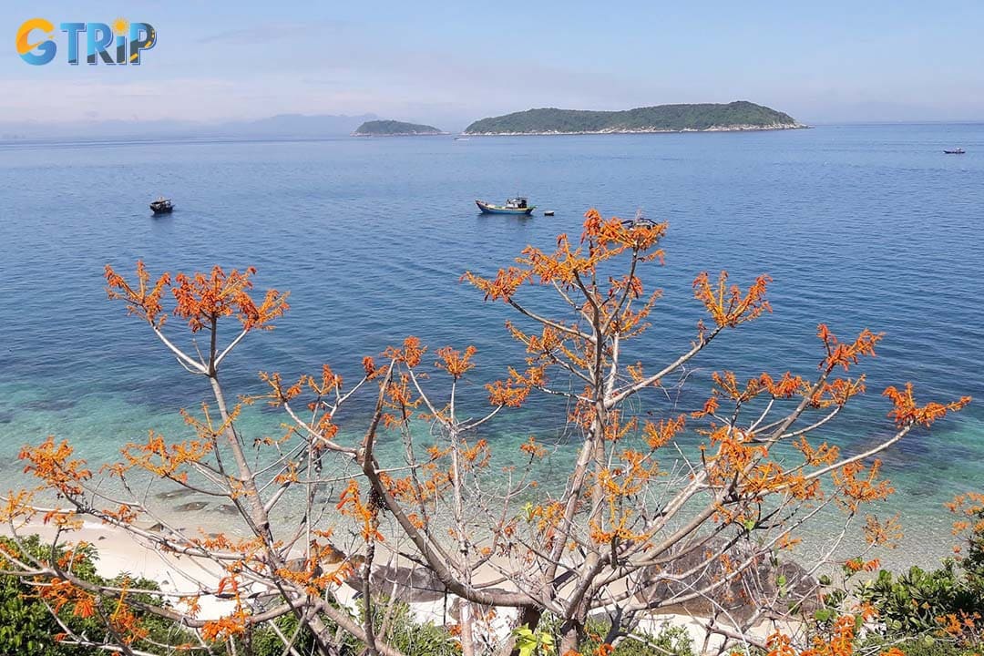 Bai Xep Beach has calm and clear water with peaceful and quiet atmosphere
