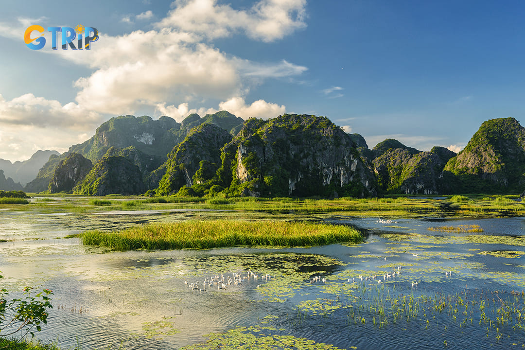 Basic information about Van Long Wetlands and panoramic views