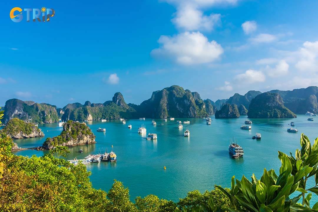 Beautiful landscape of Ha Long Bay