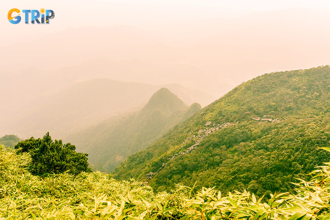 Beautiful landscape with fog and clouds on the mountain