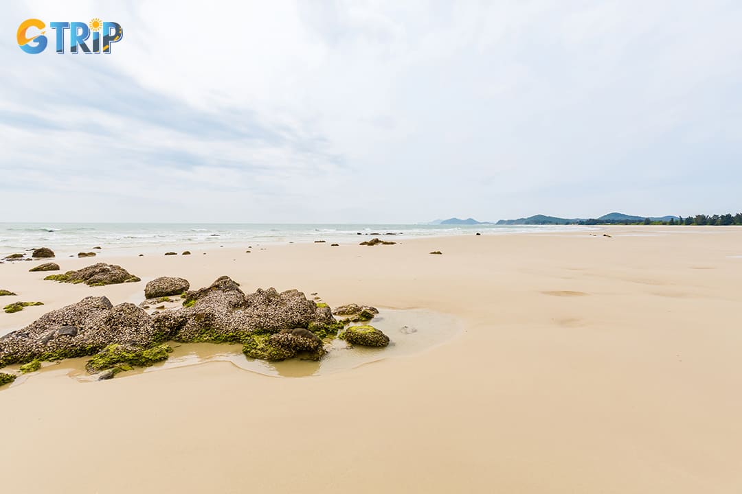 Beautiful Quan Lan’s white sand dunes along the beach