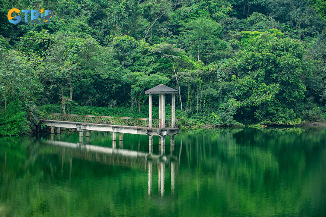 The pine-covered hills of Ba Vi provide an idyllic setting for camping and outdoor barbecues