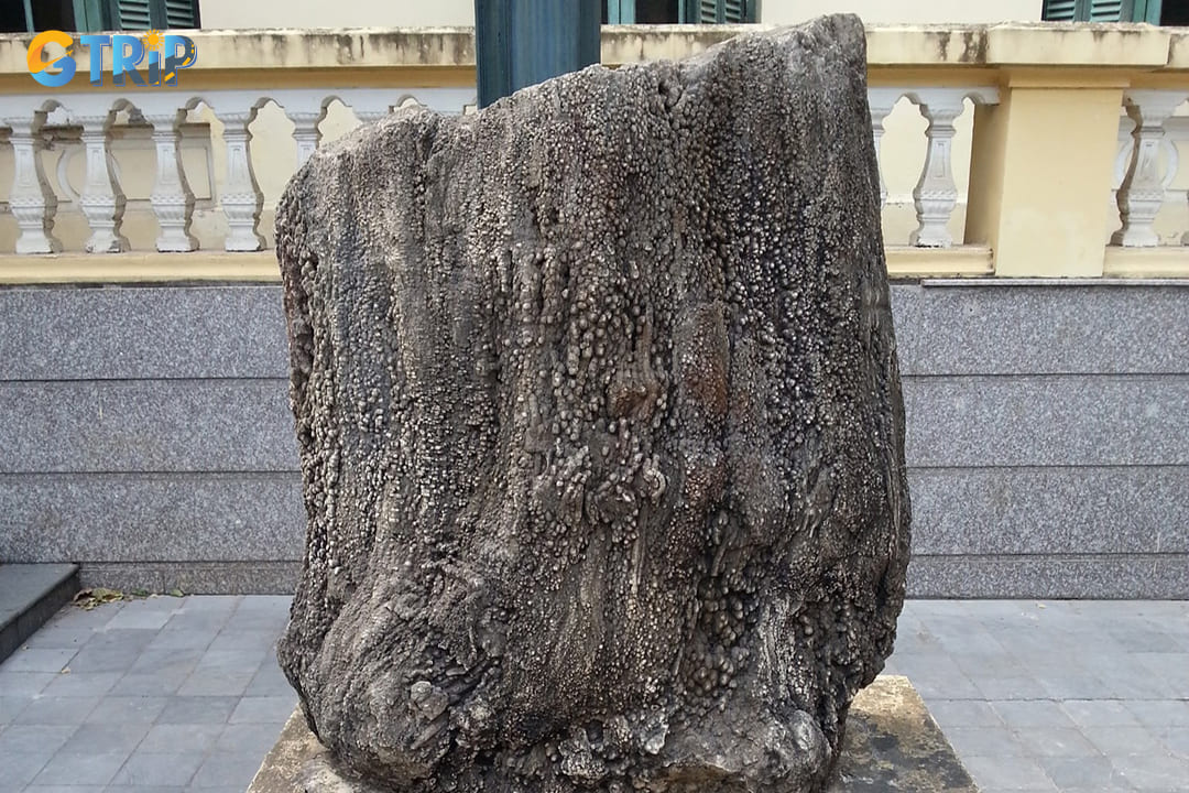 Begin your geological journey in the museum's impressive outdoor courtyard, where an exceptional collection of large-scale specimens welcomes tourists