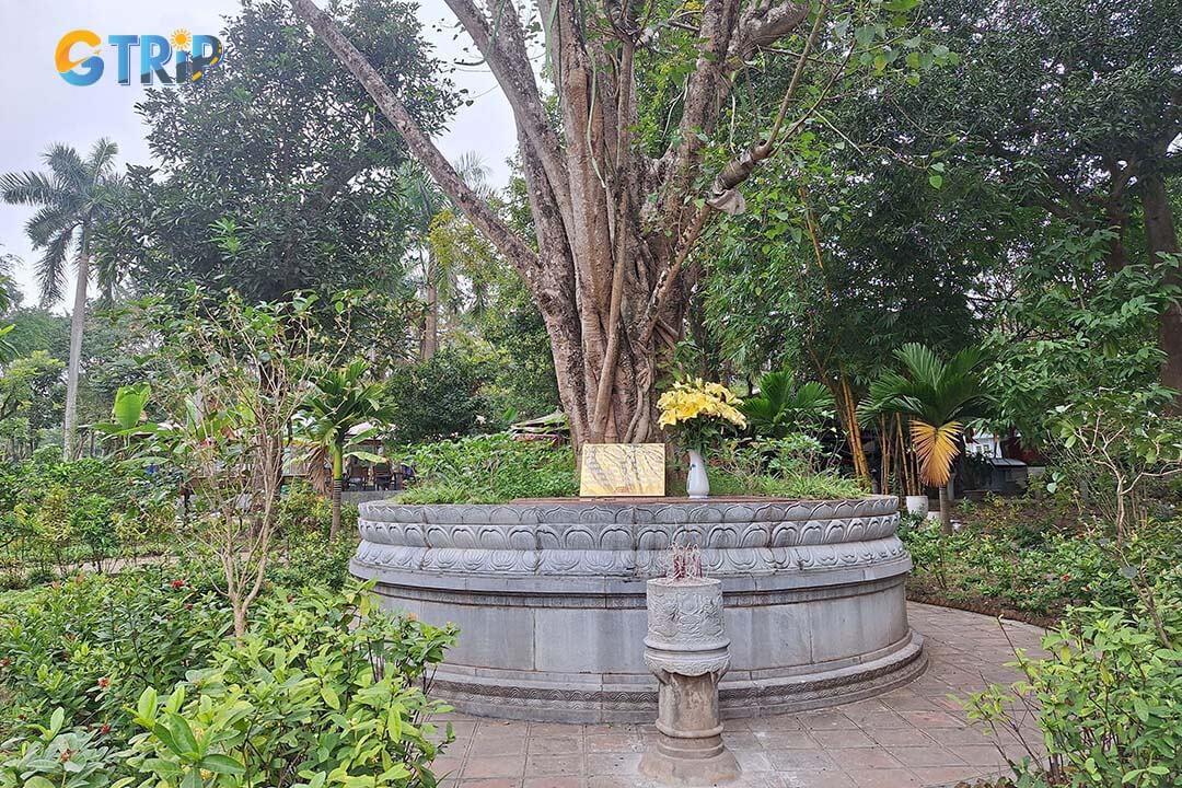 Beside the pagoda stands a sacred Bodhi tree, gifted by India in 1959, symbolizing enlightenment and linking Vietnam to global Buddhist heritage