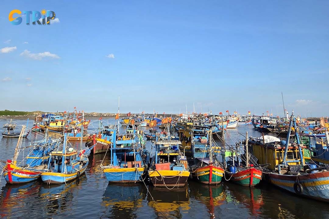 Binh Chau Fishing Port offers a local experience